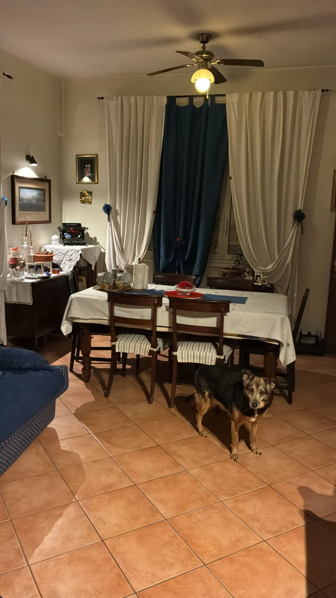 Stanza privata a Roma photo 4